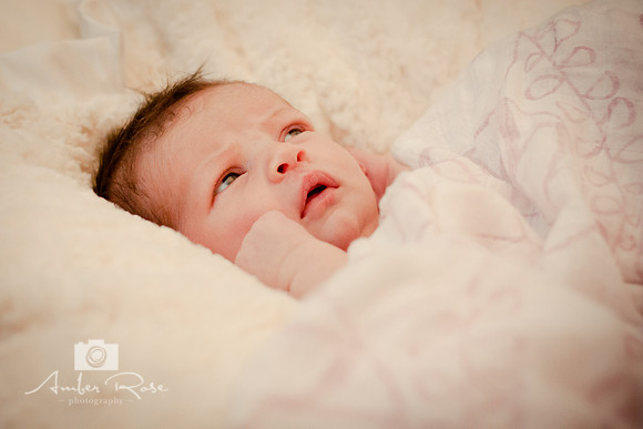 Amber Rose Photography