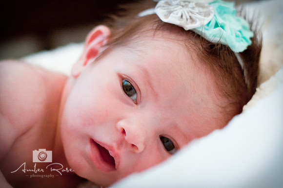 Amber Rose Photography