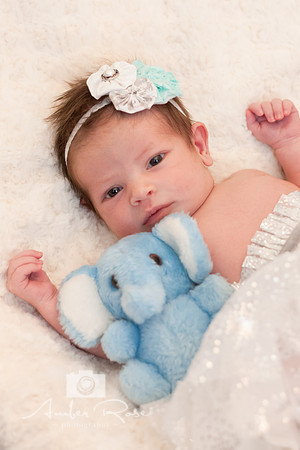 Amber Rose Photography