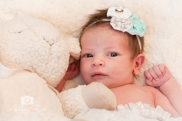 Amber Rose Photography