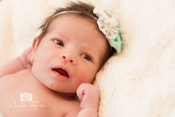 Amber Rose Photography
