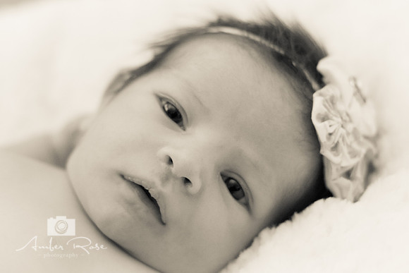 Amber Rose Photography