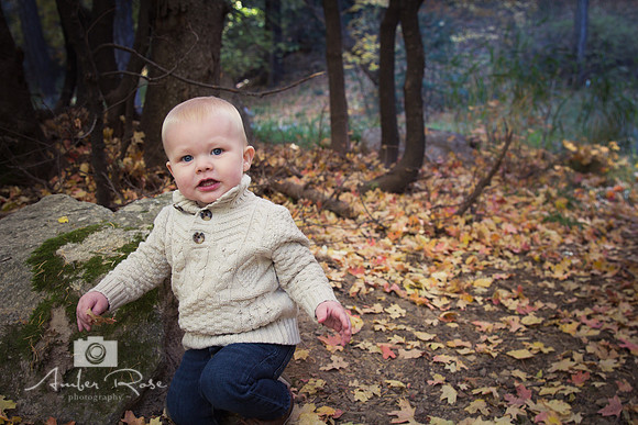 reed1year-11