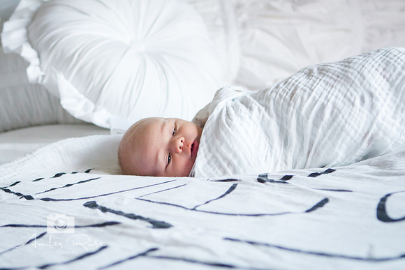 reed_newborn-1