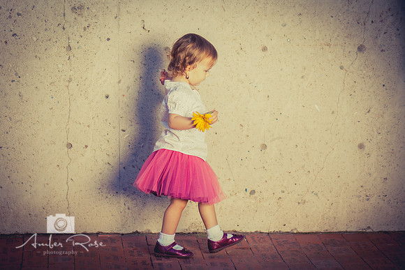 Amber Rose Photography