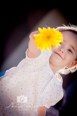 Amber Rose Photography